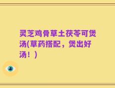 灵芝鸡骨草土茯苓可煲汤(草药搭配，煲出好汤！)