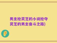 男主抢灵芝的小说抢夺灵芝的男主奋斗之路)