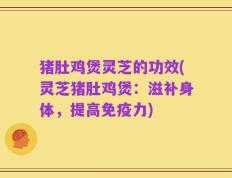 猪肚鸡煲灵芝的功效(灵芝猪肚鸡煲：滋补身体，提高免疫力)