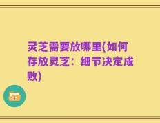 灵芝需要放哪里(如何存放灵芝：细节决定成败)