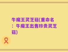 牛魔王灵芝菇(重命名：牛魔王出售珍贵灵芝菇)
