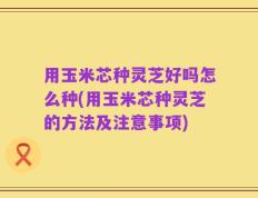 用玉米芯种灵芝好吗怎么种(用玉米芯种灵芝的方法及注意事项)