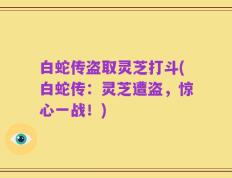 白蛇传盗取灵芝打斗(白蛇传：灵芝遭盗，惊心一战！)