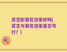 灵芝配菊花泡茶好吗(灵芝与菊花泡茶是否可行？)