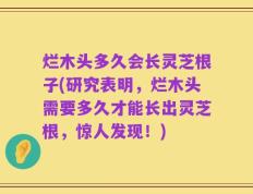 烂木头多久会长灵芝根子(研究表明，烂木头需要多久才能长出灵芝根，惊人发现！)