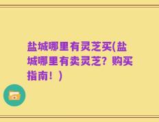 盐城哪里有灵芝买(盐城哪里有卖灵芝？购买指南！)