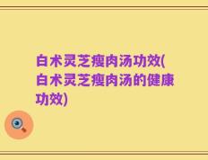 白术灵芝瘦肉汤功效(白术灵芝瘦肉汤的健康功效)