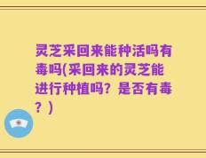 灵芝采回来能种活吗有毒吗(采回来的灵芝能进行种植吗？是否有毒？)