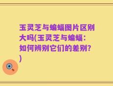 玉灵芝与蝙蝠图片区别大吗(玉灵芝与蝙蝠：如何辨别它们的差别？)