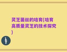 灵芝菌丝的培育(培育高质量灵芝的技术探究)