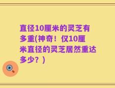 直径10厘米的灵芝有多重(神奇！仅10厘米直径的灵芝居然重达多少？)