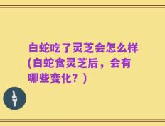 白蛇吃了灵芝会怎么样(白蛇食灵芝后，会有哪些变化？)