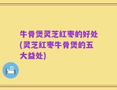 牛骨煲灵芝红枣的好处(灵芝红枣牛骨煲的五大益处)