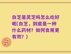 白芝是灵芝吗怎么吃好呢(白芝，到底是一种什么药材？如何食用更有效？)