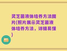 灵芝菌液体培养方法图片(照片展示灵芝菌液体培养方法，详细易懂)