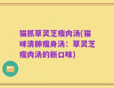 猫抓草灵芝瘦肉汤(猫咪清肺瘦身汤：草灵芝瘦肉汤的新口味)