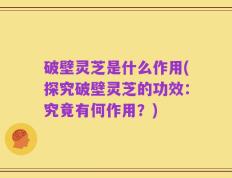 破壁灵芝是什么作用(探究破壁灵芝的功效：究竟有何作用？)