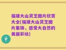 福建大山灵芝图片欣赏大全(福建大山灵芝图片集锦，感受大自然的美丽彩绘)