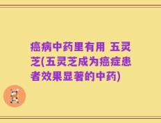 癌病中药里有用 五灵芝(五灵芝成为癌症患者效果显著的中药)