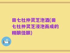 田七杜仲灵芝泡酒(田七杜仲灵芝浸泡而成的精酿佳酿)