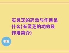 石灵芝的药效与作用是什么(石灵芝的功效及作用简介)