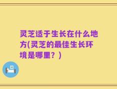 灵芝适于生长在什么地方(灵芝的最佳生长环境是哪里？)