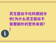 灵芝菌丝不吃料原因分析(为什么灵芝菌丝不需要额外的营养来源？)