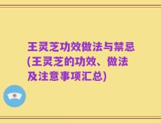 王灵芝功效做法与禁忌(王灵芝的功效、做法及注意事项汇总)