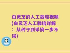 白灵芝的人工栽培视频(白灵芝人工栽培详解：从种子到采摘一步不误)