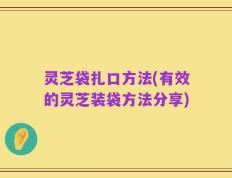 灵芝袋扎口方法(有效的灵芝装袋方法分享)