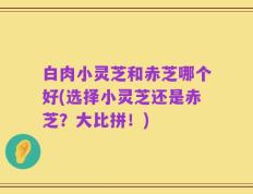 白肉小灵芝和赤芝哪个好(选择小灵芝还是赤芝？大比拼！)