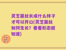 灵芝菌丝长成什么样子才可以开口(灵芝菌丝如何生长？看看形态就知道)
