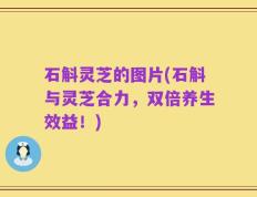 石斛灵芝的图片(石斛与灵芝合力，双倍养生效益！)