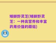 矮脚野灵芝(矮脚野灵芝：一种高营养和丰富药用价值的蘑菇)