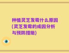 种植灵芝发霉什么原因(灵芝发霉的成因分析与预防措施)