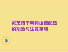 灵芝孢子粉和山楂配伍的功效与注意事项