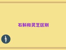 石斛和灵芝区别