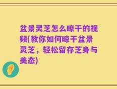盆景灵芝怎么晾干的视频(教你如何晾干盆景灵芝，轻松留存芝身与美态)