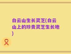 白云山生长灵芝(白云山上的珍贵灵芝生长地)