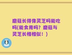 磨菇长得像灵芝吗能吃吗(能食用吗？磨菇与灵芝长相相似！)