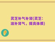 灵芝补气补肾(灵芝：滋补肾气，提高体质)