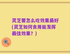 灵芝要怎么吃效果最好(灵芝如何食用能发挥最佳效果？)