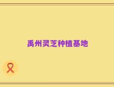 禹州灵芝种植基地