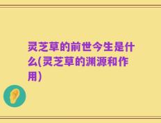 灵芝草的前世今生是什么(灵芝草的渊源和作用)