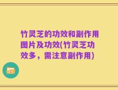 竹灵芝的功效和副作用图片及功效(竹灵芝功效多，需注意副作用)