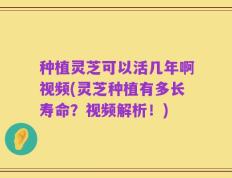 种植灵芝可以活几年啊视频(灵芝种植有多长寿命？视频解析！)