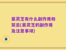 紫灵芝有什么副作用和禁忌(紫灵芝的副作用及注意事项)