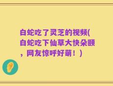 白蛇吃了灵芝的视频(白蛇吃下仙草大快朵颐，网友惊呼好萌！)