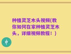 种植灵芝木头视频(教你如何在家种植灵芝木头，详细视频教程！)