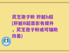 灵芝孢子粉 肝脏b超(肝脏B超显影有提升，灵芝孢子粉或可辅助改善)